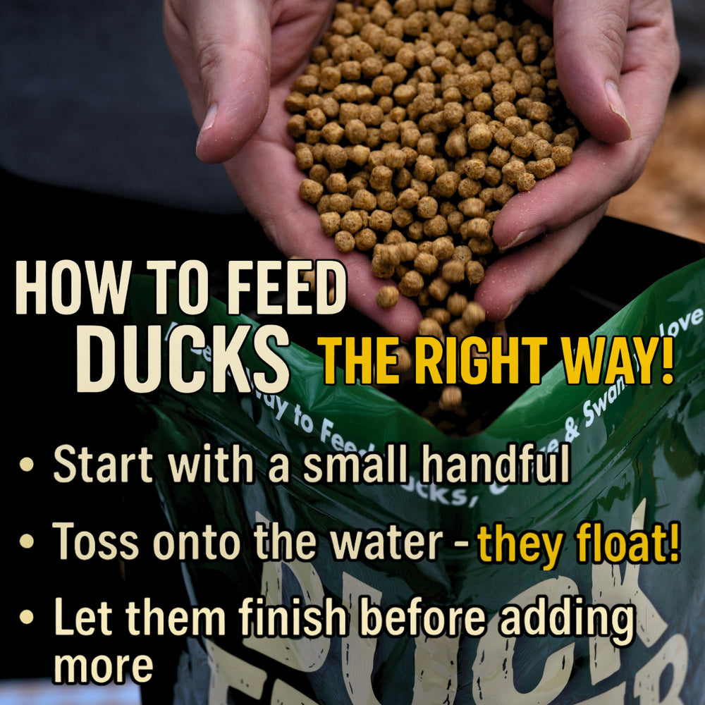 Hapetrails alimento sabroso para patos, ideal para uso diario en estanques domésticos.