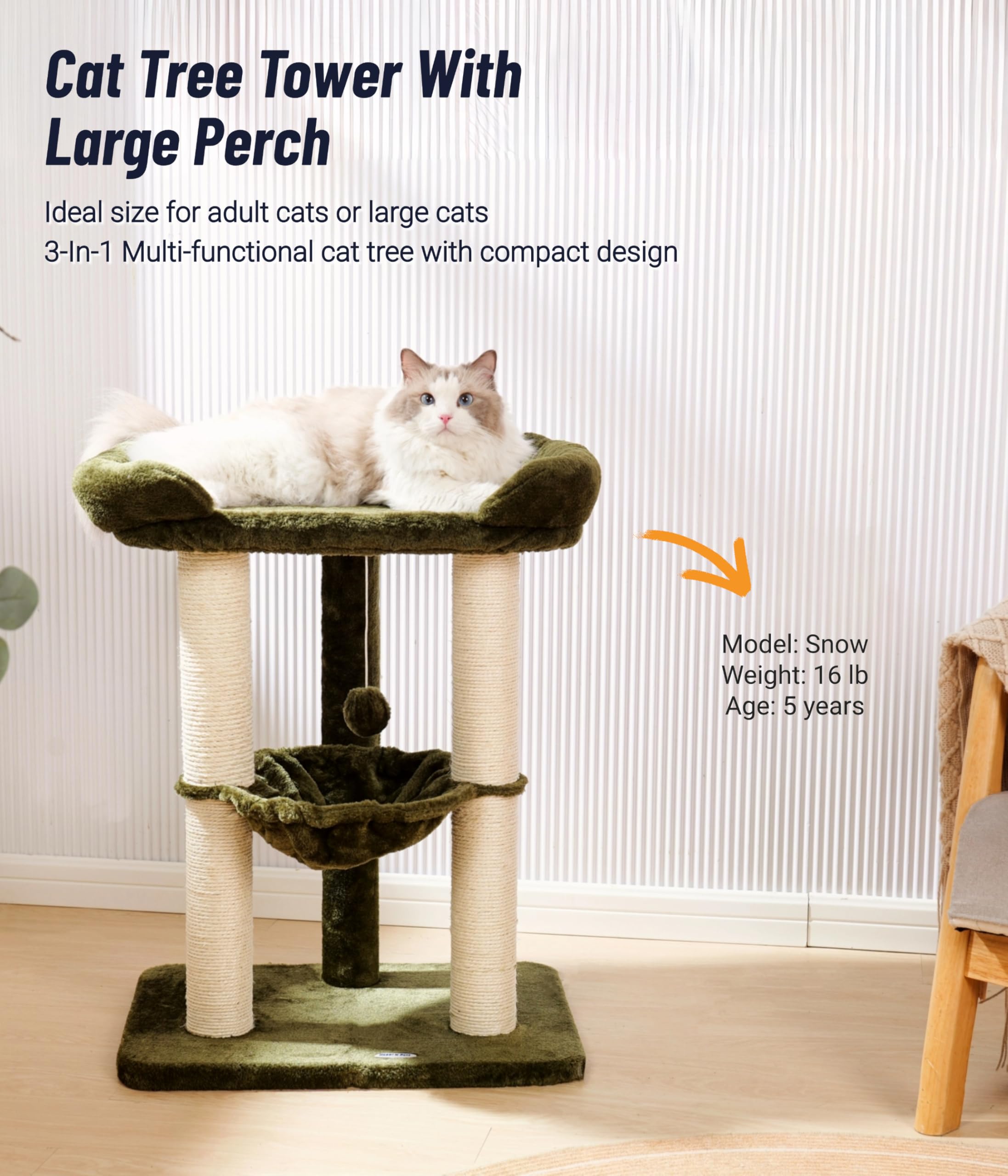 Happi N Pets cama amplia para gatos grandes, vista por la ventana.