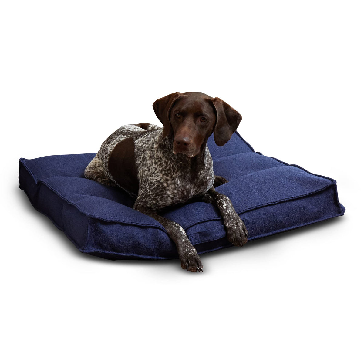 Happy Hounds Milo cama para perro con tufted en cobalto, ideal para estirarse