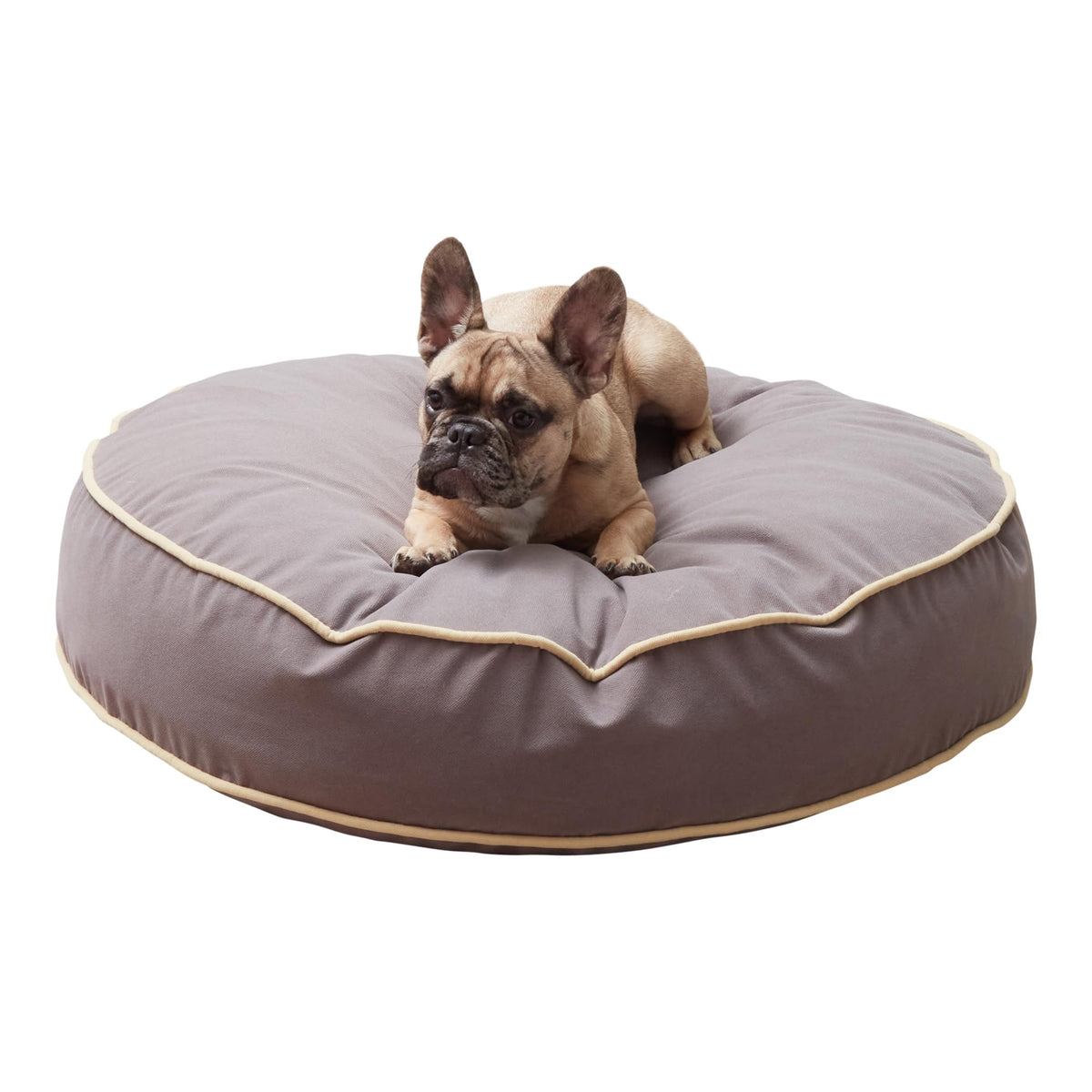 Happy Hounds Scout cama redonda para perros, funda duradera y fácil de limpiar.
