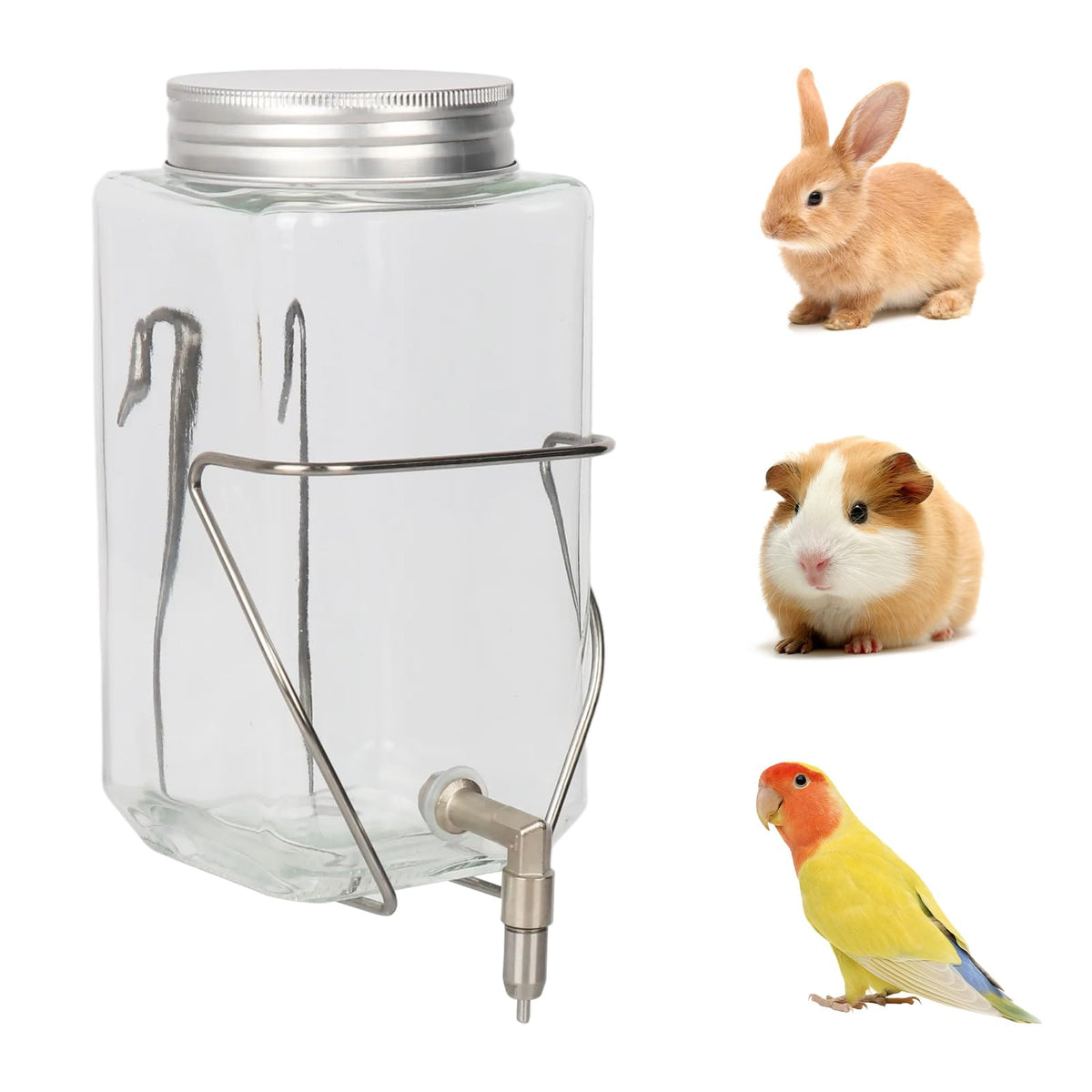 HardcorePet bebedero de vidrio para mascotas, relleno y limpieza fáciles.