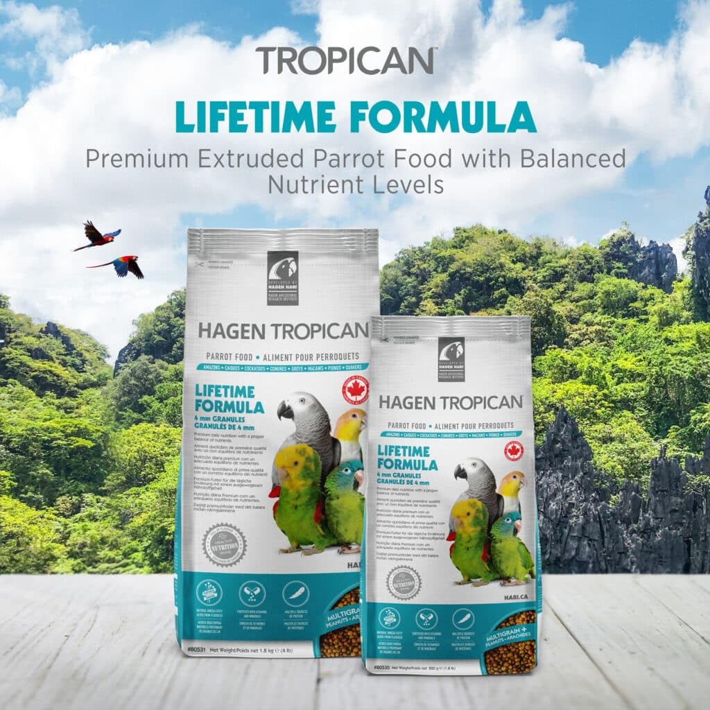 Hari Tropican, granulos de mantenimiento para loros, mezcla nutritiva de granos.