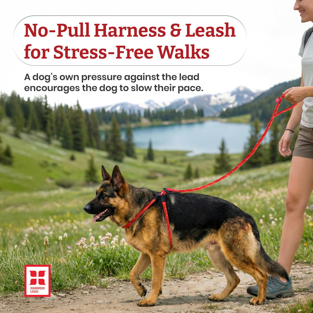 Harness Lead ajuste seguro para el pecho durante caminatas