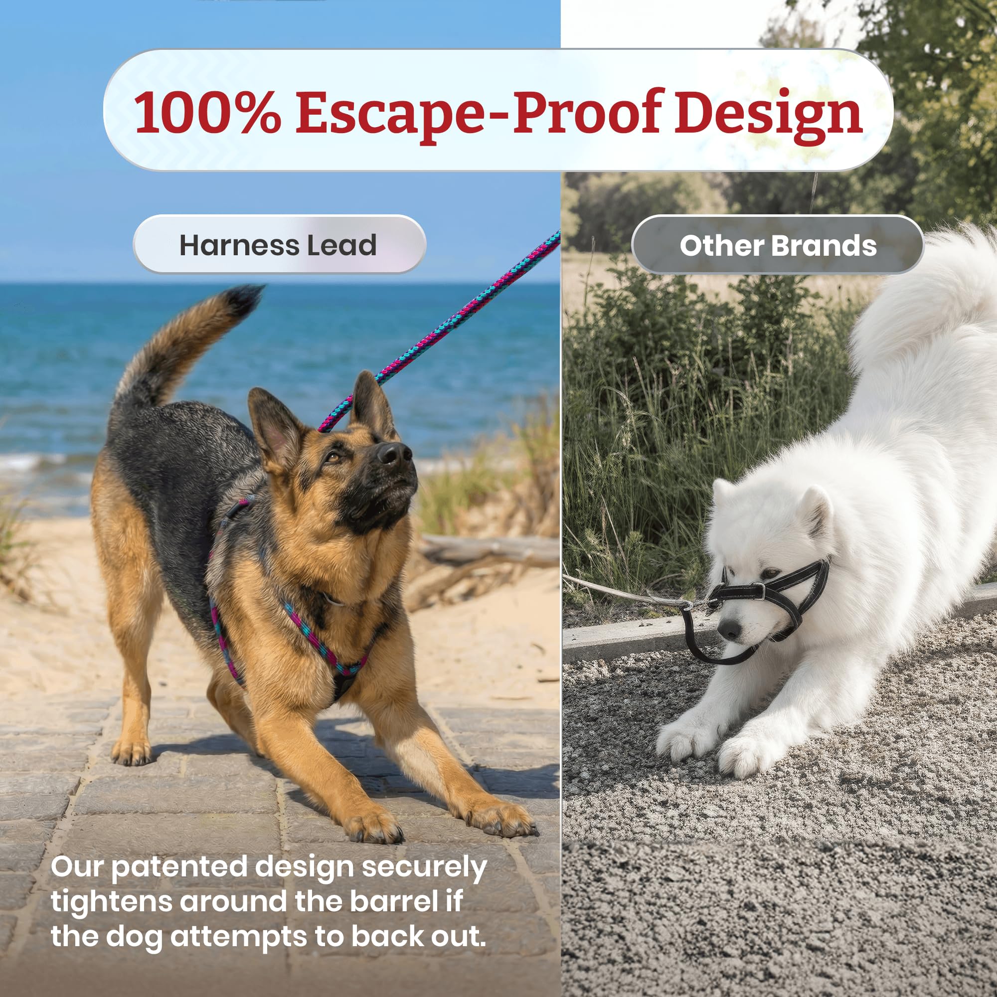 Harness Lead hecho en Estados Unidos, durabilidad y confianza