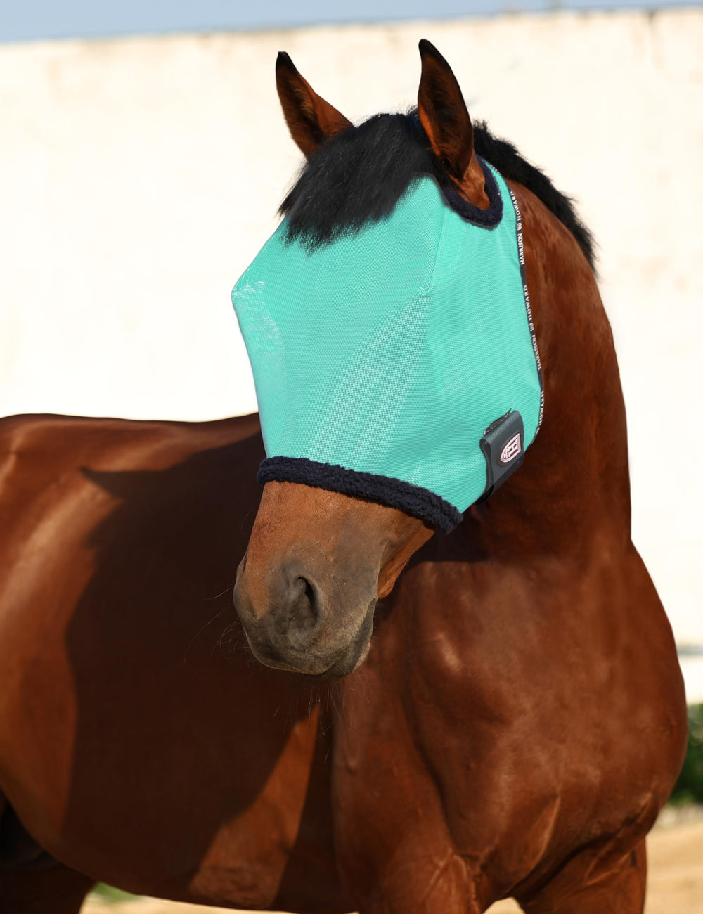 Acabado en color menta de Harrison Howard, estilo veraniego