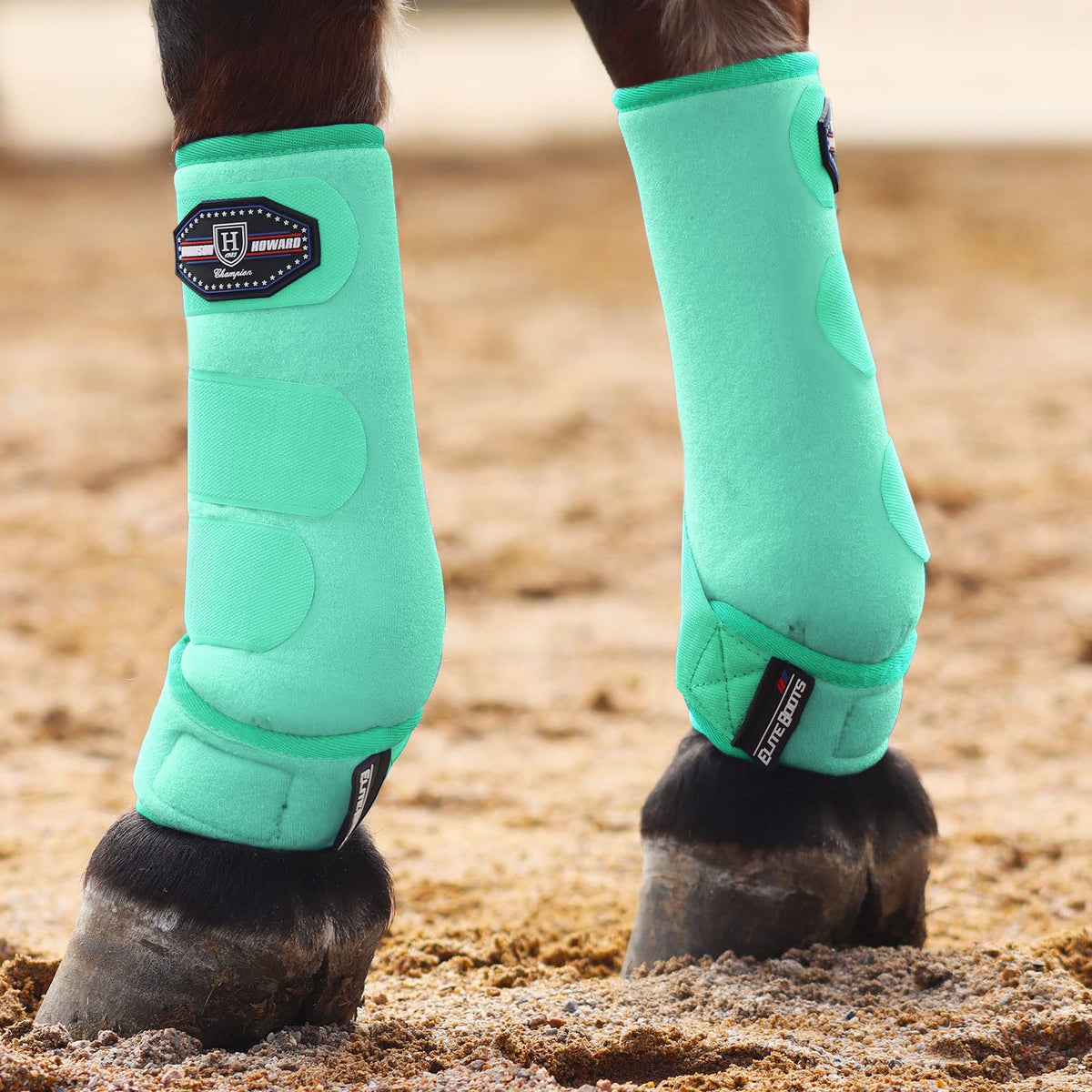 Botas de protección ecuestre Harrison Howard — absorbentes frontales, pack 2, talla L, color menta