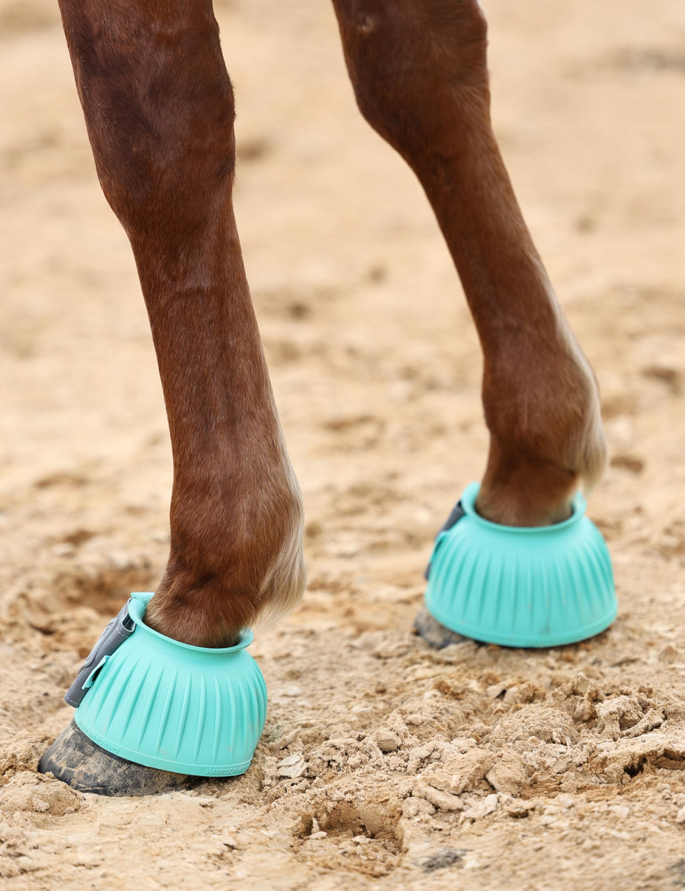 Campanas Harrison Howard, uso diario en turquesa, protección constante del casco.