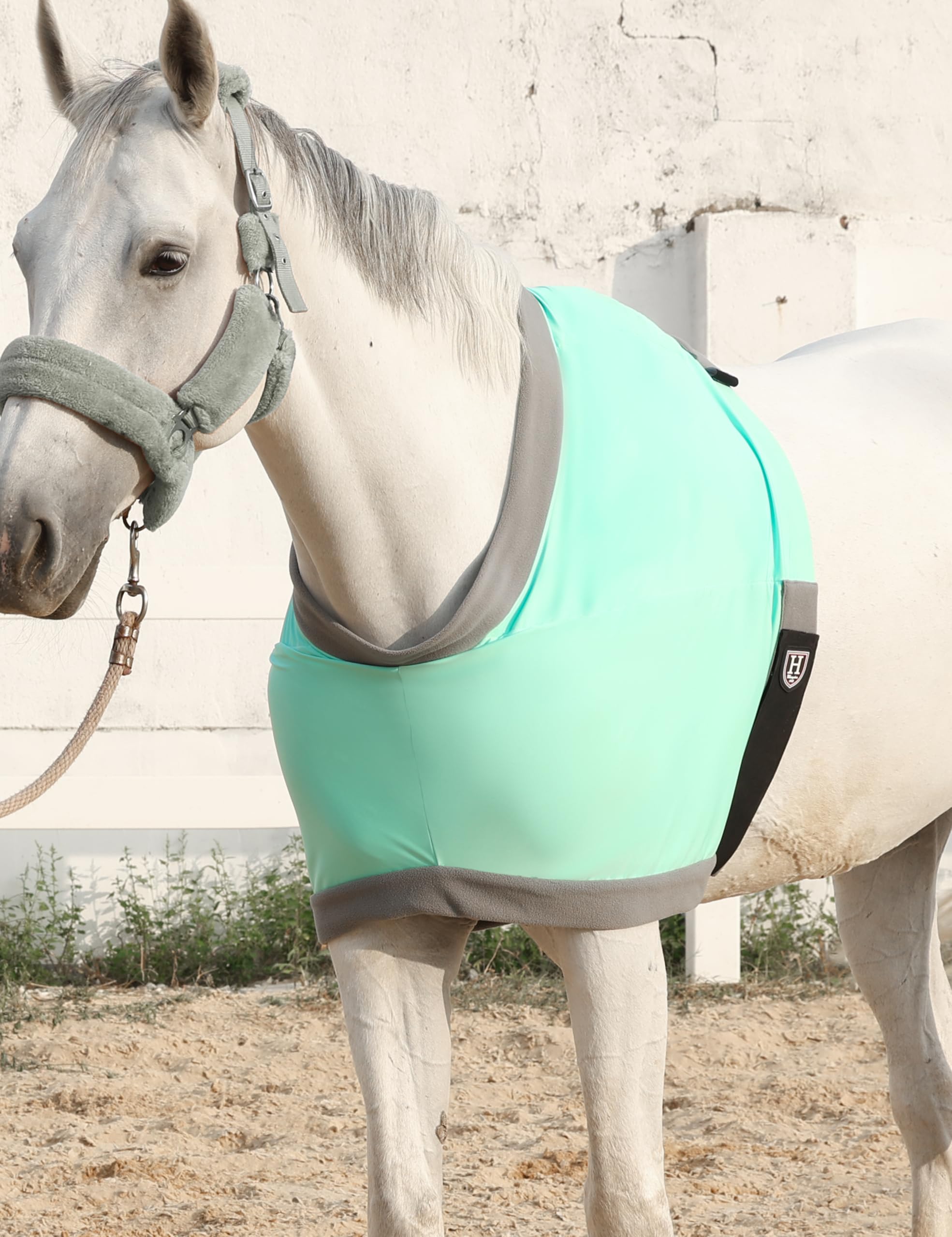 Protector de hombro Harrison Howard uso diario con manta de caballo.