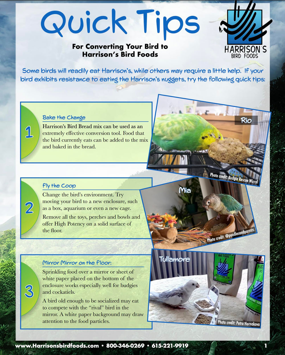 Harrison's Alimento para aves, dieta equilibrada para aves medianas y grandes.
