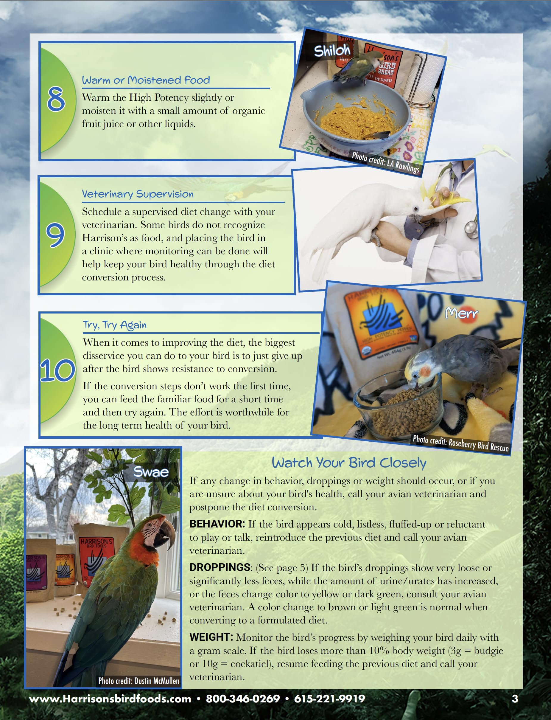 Harrison's Alimento para aves con ingredientes orgánicos de alta calidad.