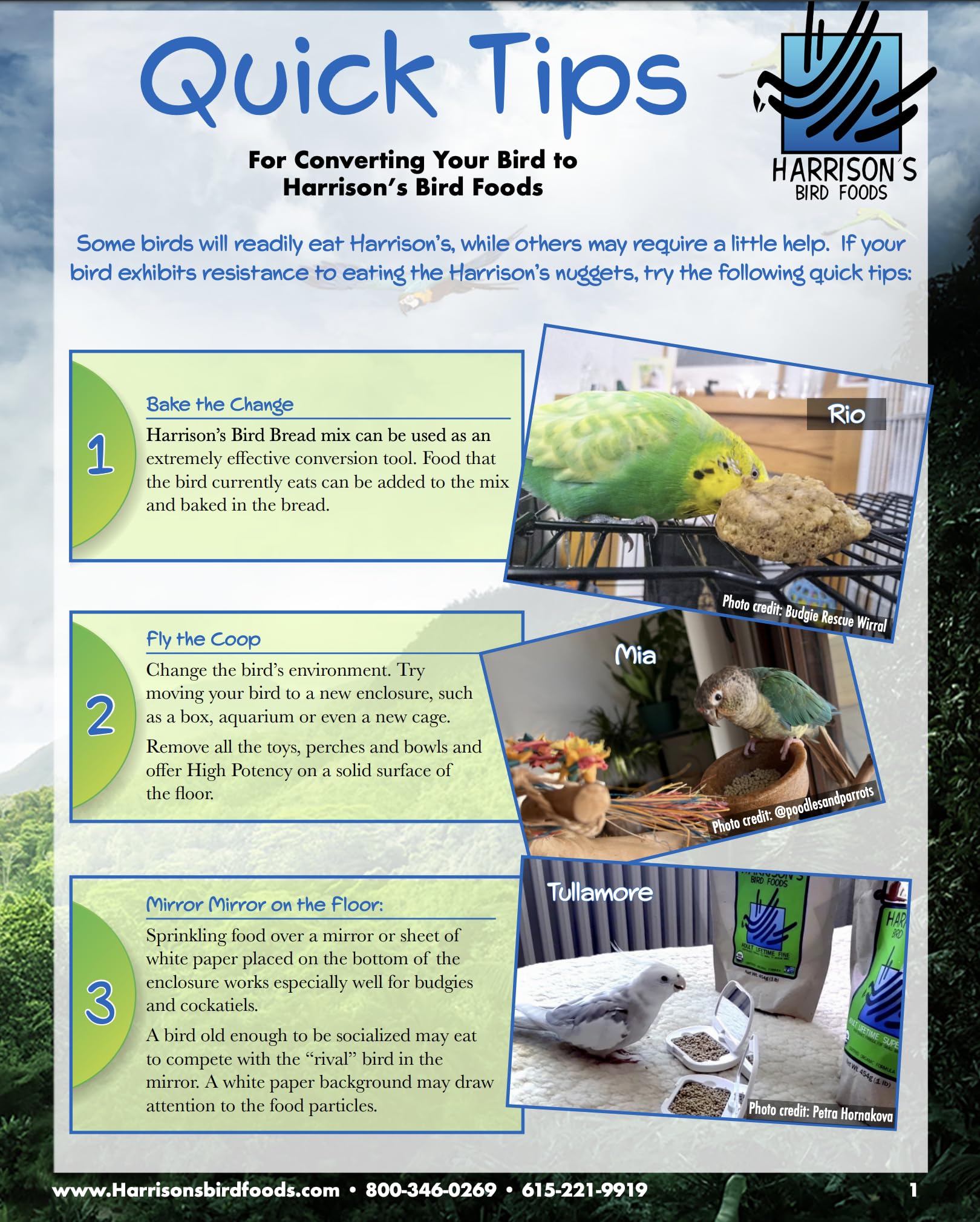 Harrison's Bird Foods Alimento diario para aves pequeñas, mantenimiento estable.
