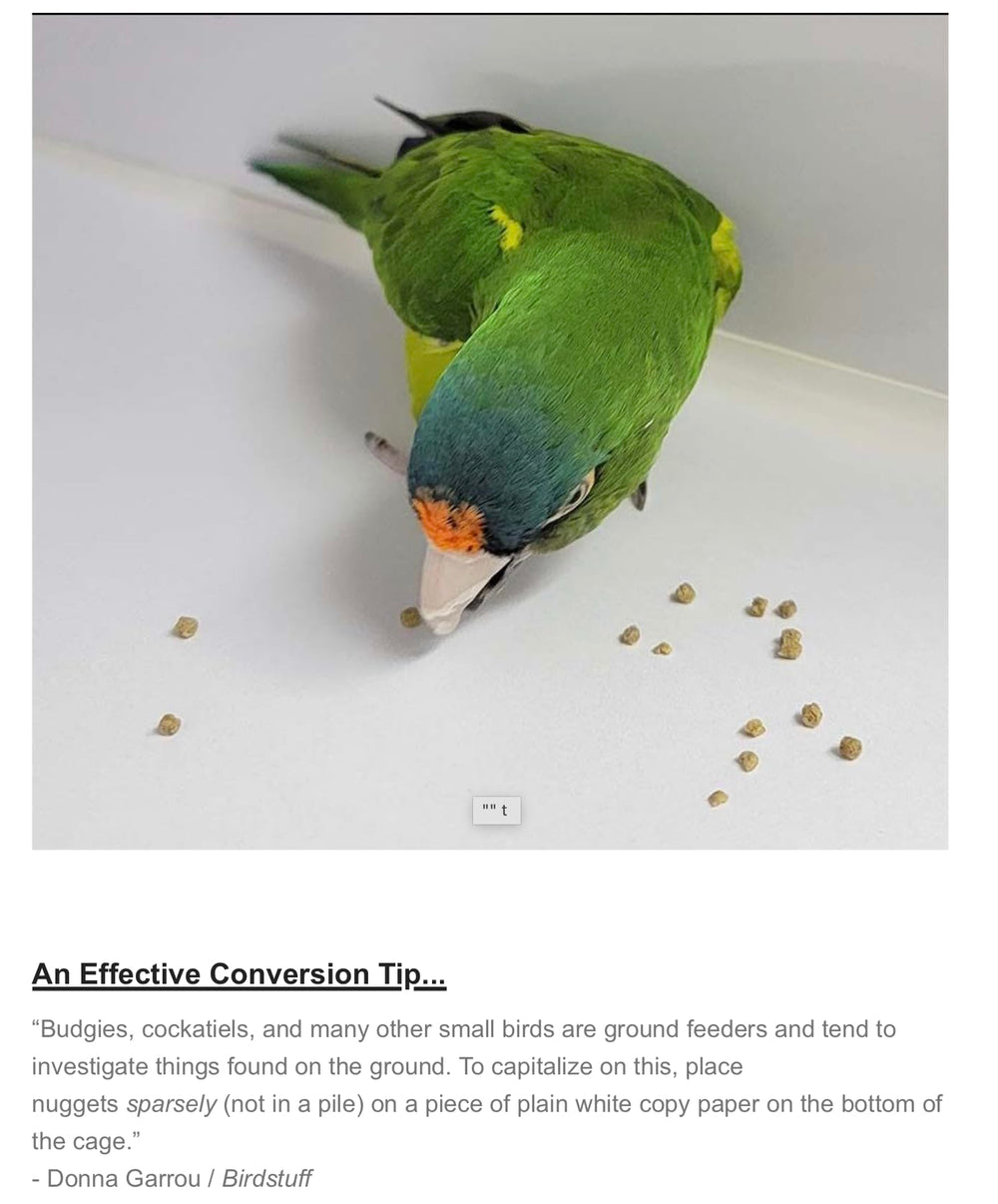 Harrison's Bird Foods: apto para todas las etapas de vida de las aves.