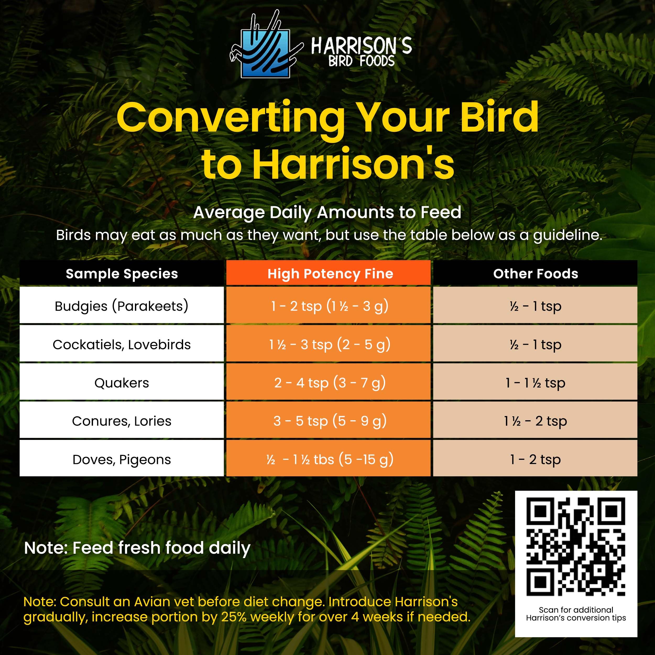 Harrison's Bird Foods: apoyo durante la muda con nutrición adecuada.