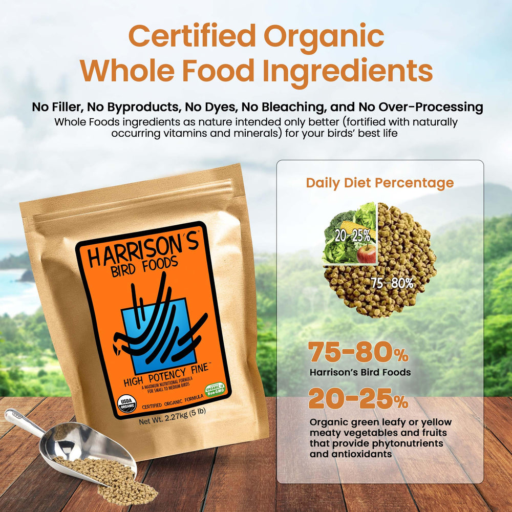 Harrison's Bird Foods: omega-3 y omega-6 balanceados para bienestar plumaje.