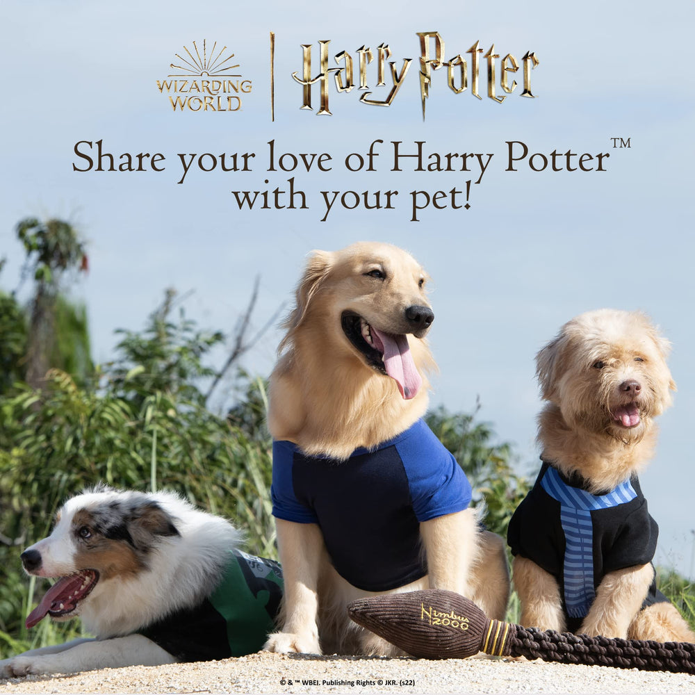 Regalo perfecto para fans de Potter y sus mascotas