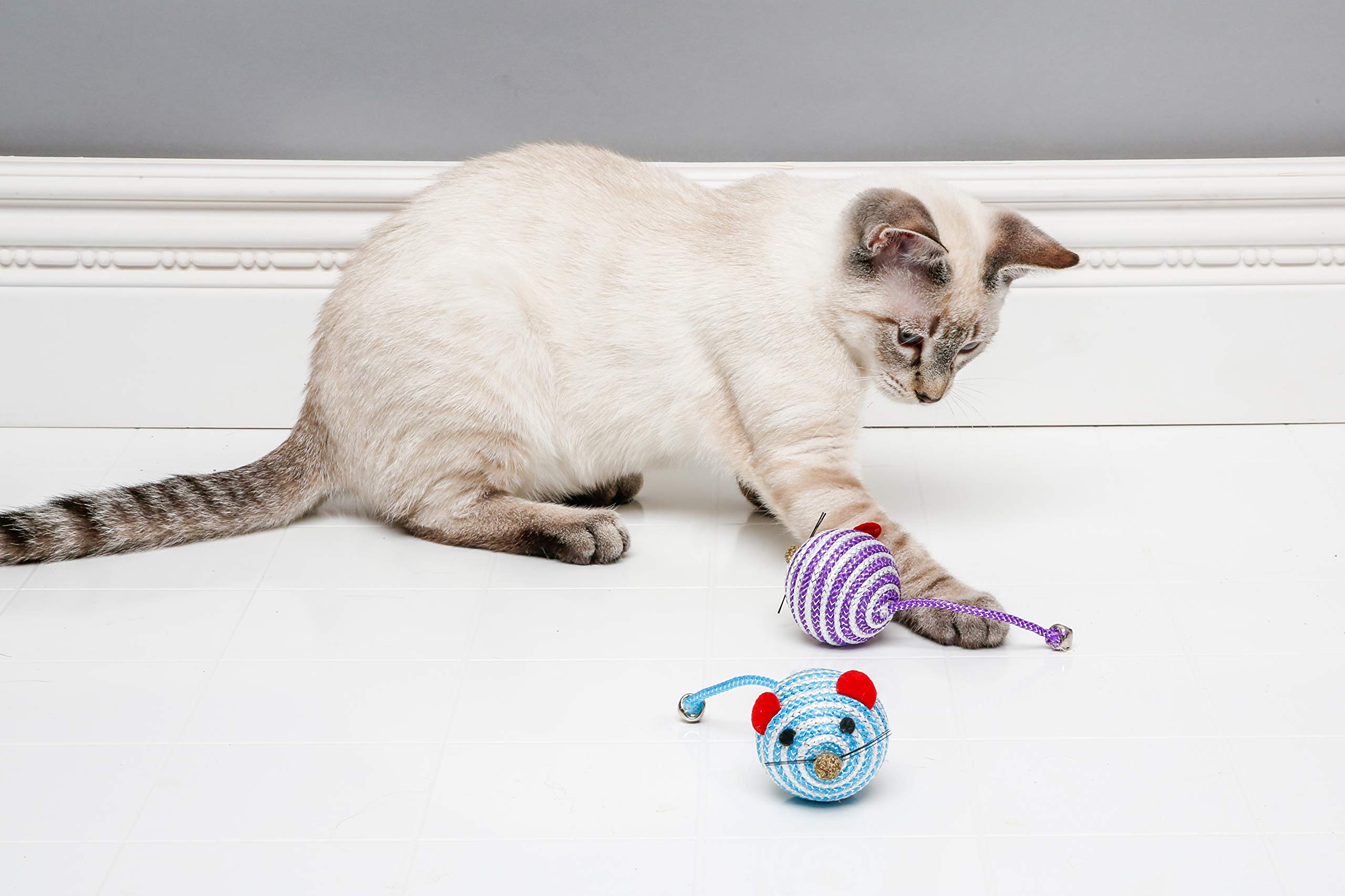 Hartz Cattraction: cuerda y campana para juego activo