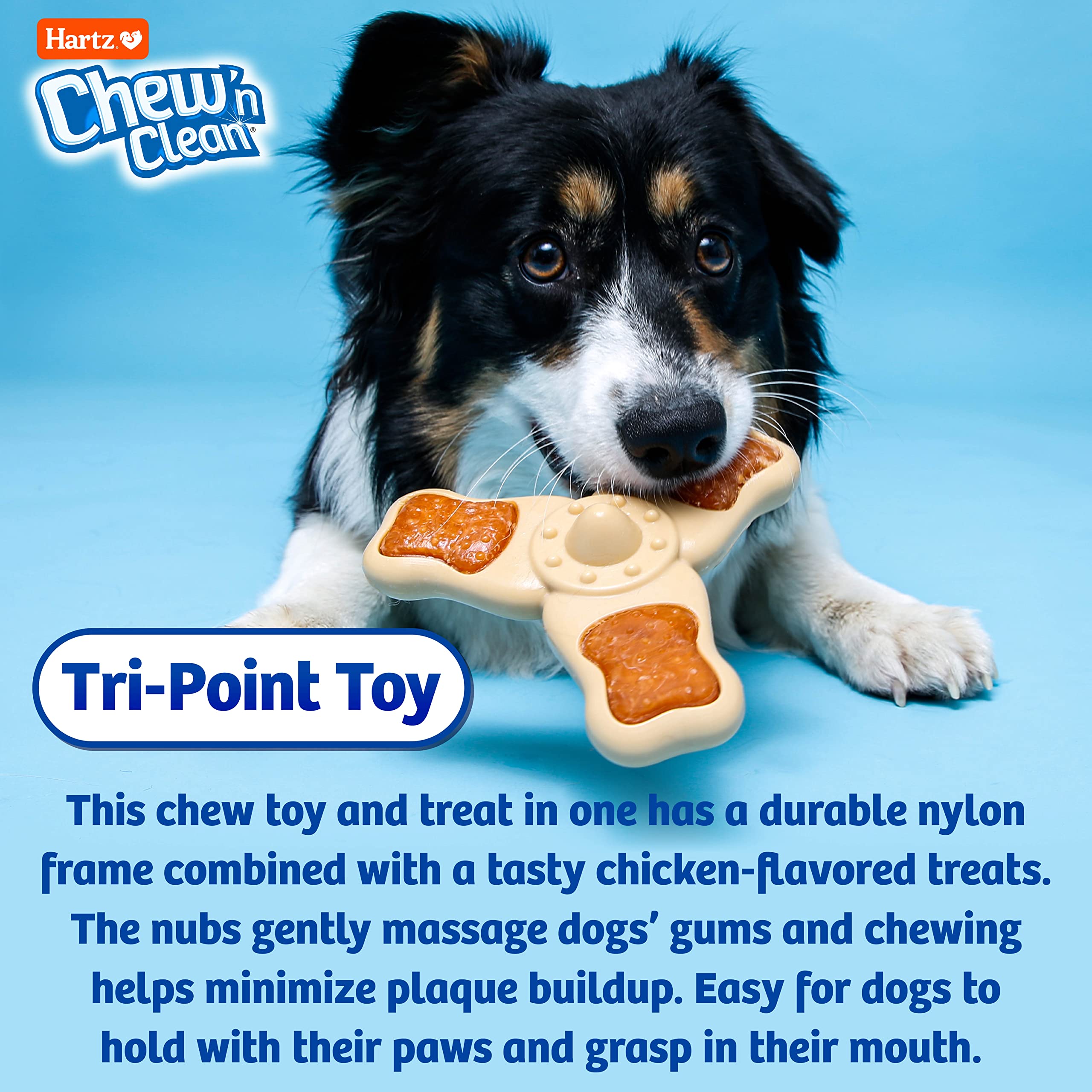 Hartz Chew n Clean Tri Point: tamaño pequeño ideal para perros de diez a veinte libras.