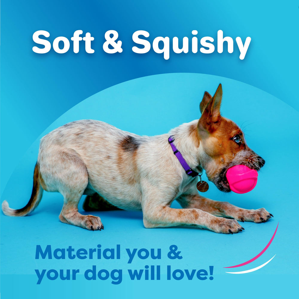Bola Hartz DuraPlay talla pequeña, ideal para perros de menos de 9 kg