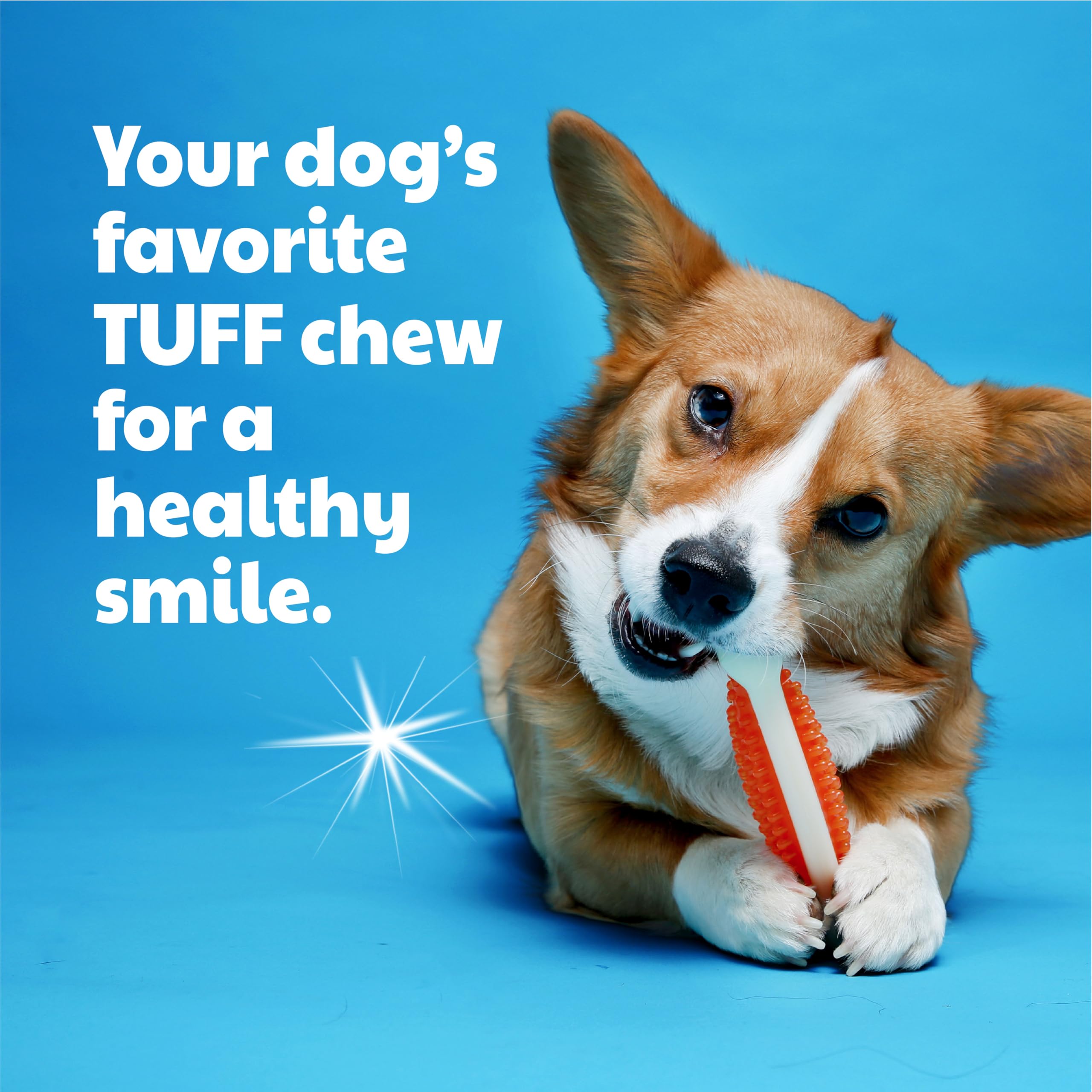 Hartz Hueso Duro ideal para cachorros en denticion.