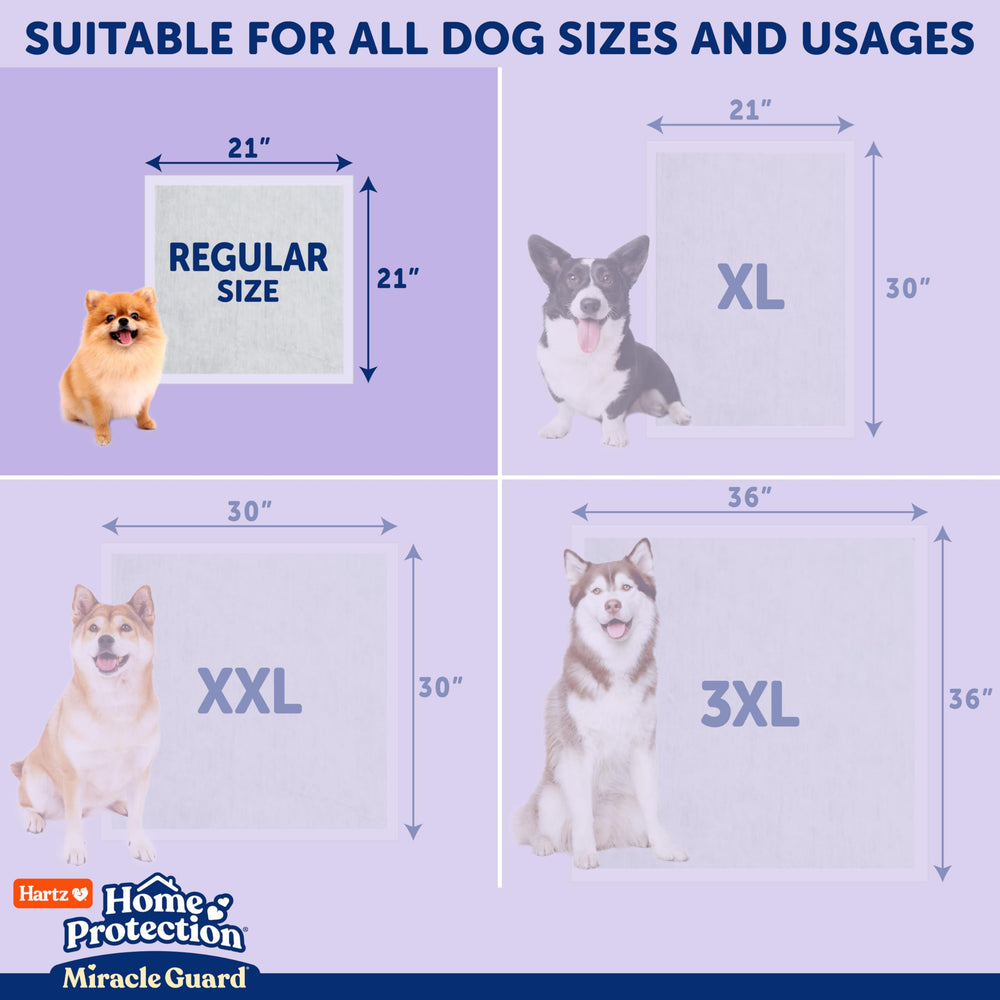 Hartz Miracle Guard: ideal para entrenamiento de cachorros y limpieza rápida