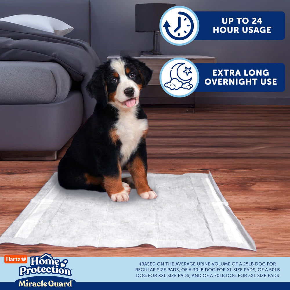 Hartz Miracle Guard rapido-secado: absorción rápida para evitar charcos.