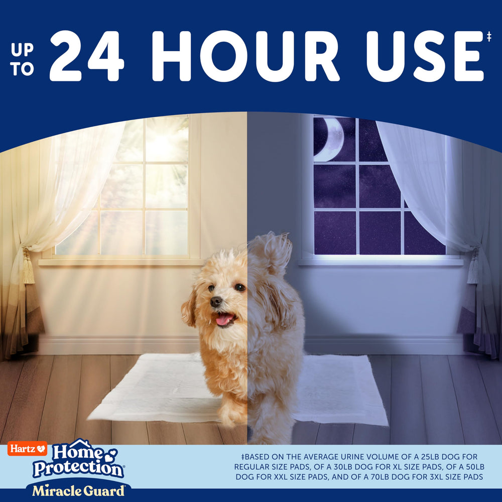 Hartz Miracle Guard uso-24-horas: cobertura continua para días largos en casa.