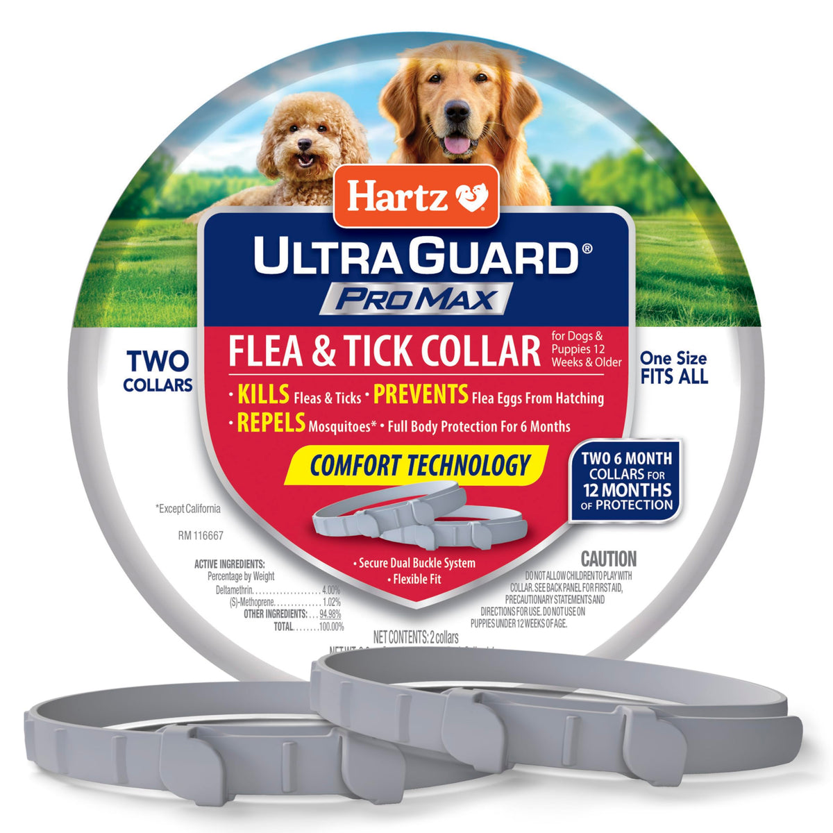 Collar Hartz ProMax para perros en gris, protección prolongada.