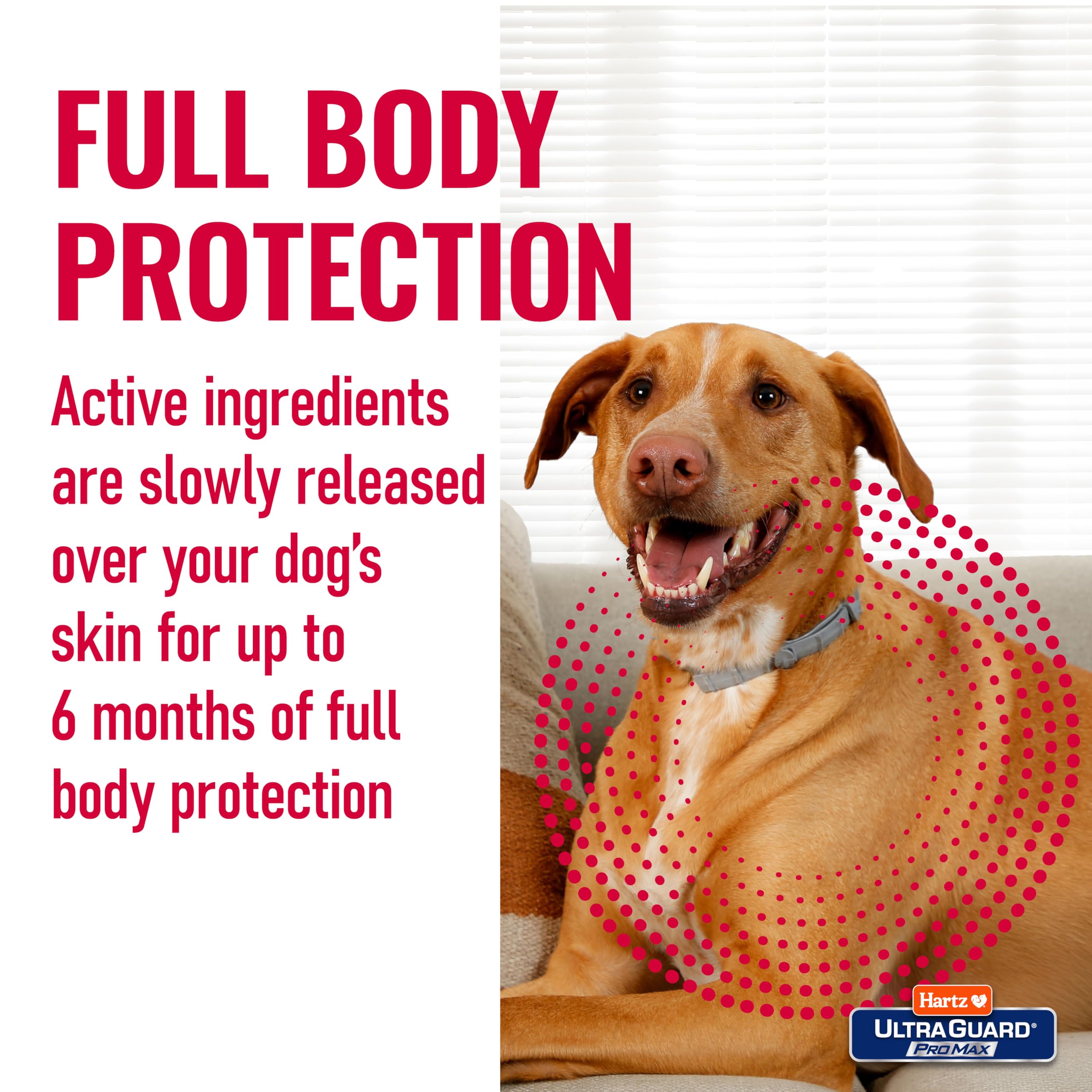 Collares de talla única Hartz ProMax se ajustan a perros diversos.