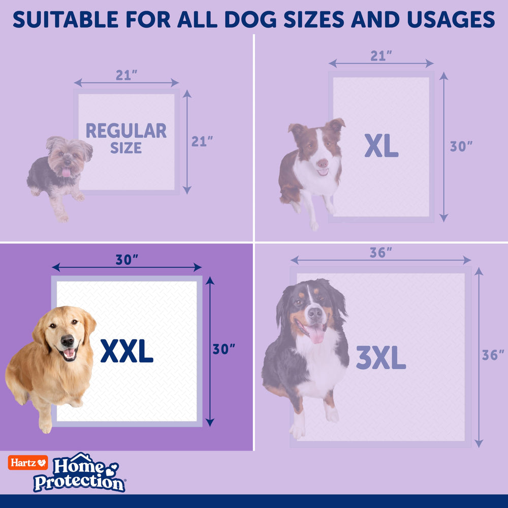 Hartz Protección Hogar ideal para perros senior.
