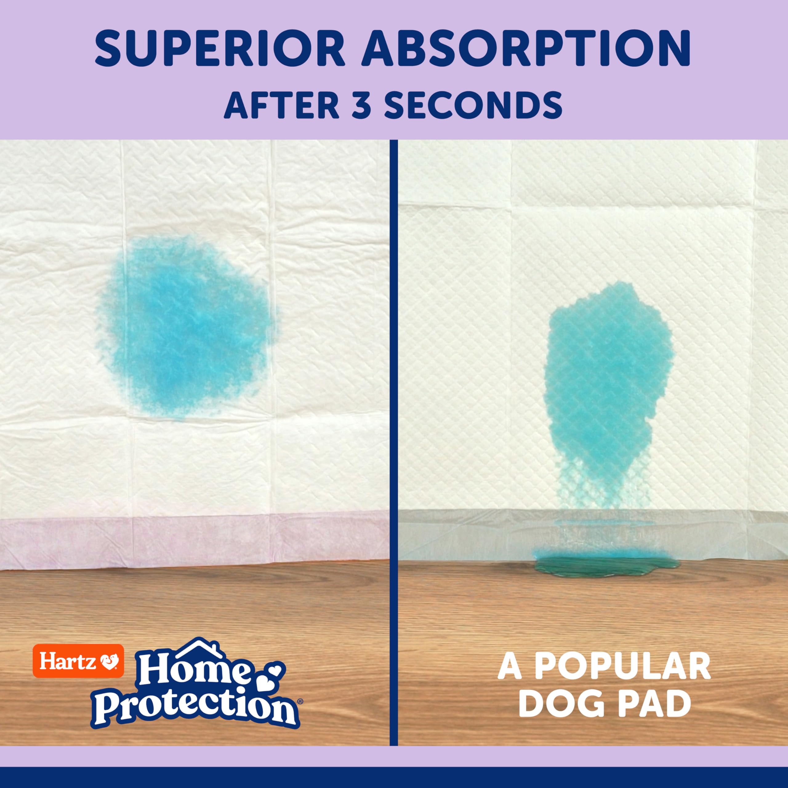 Hartz Proteccion Hogar: respaldo impermeable protege el suelo