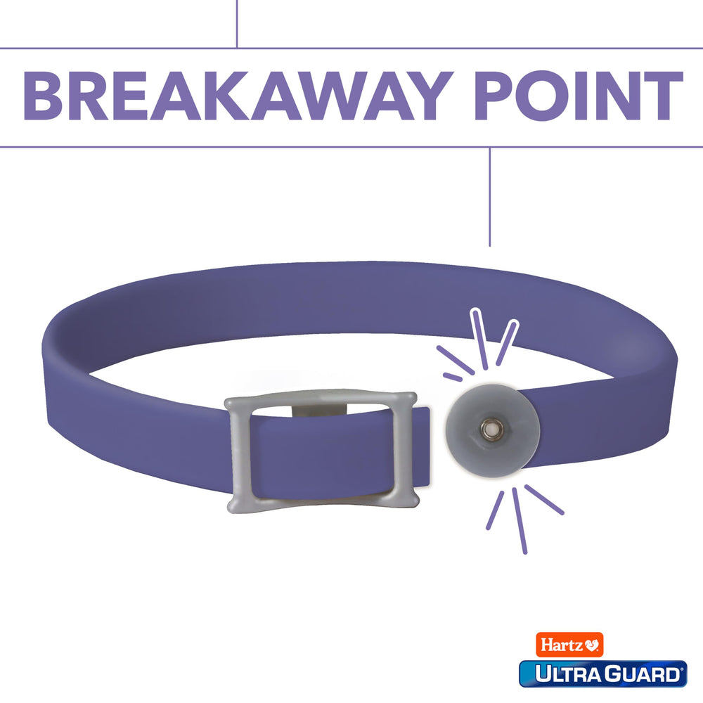 Collar Hartz UltraGuard resistente al agua mantiene efectividad bajo lluvia
