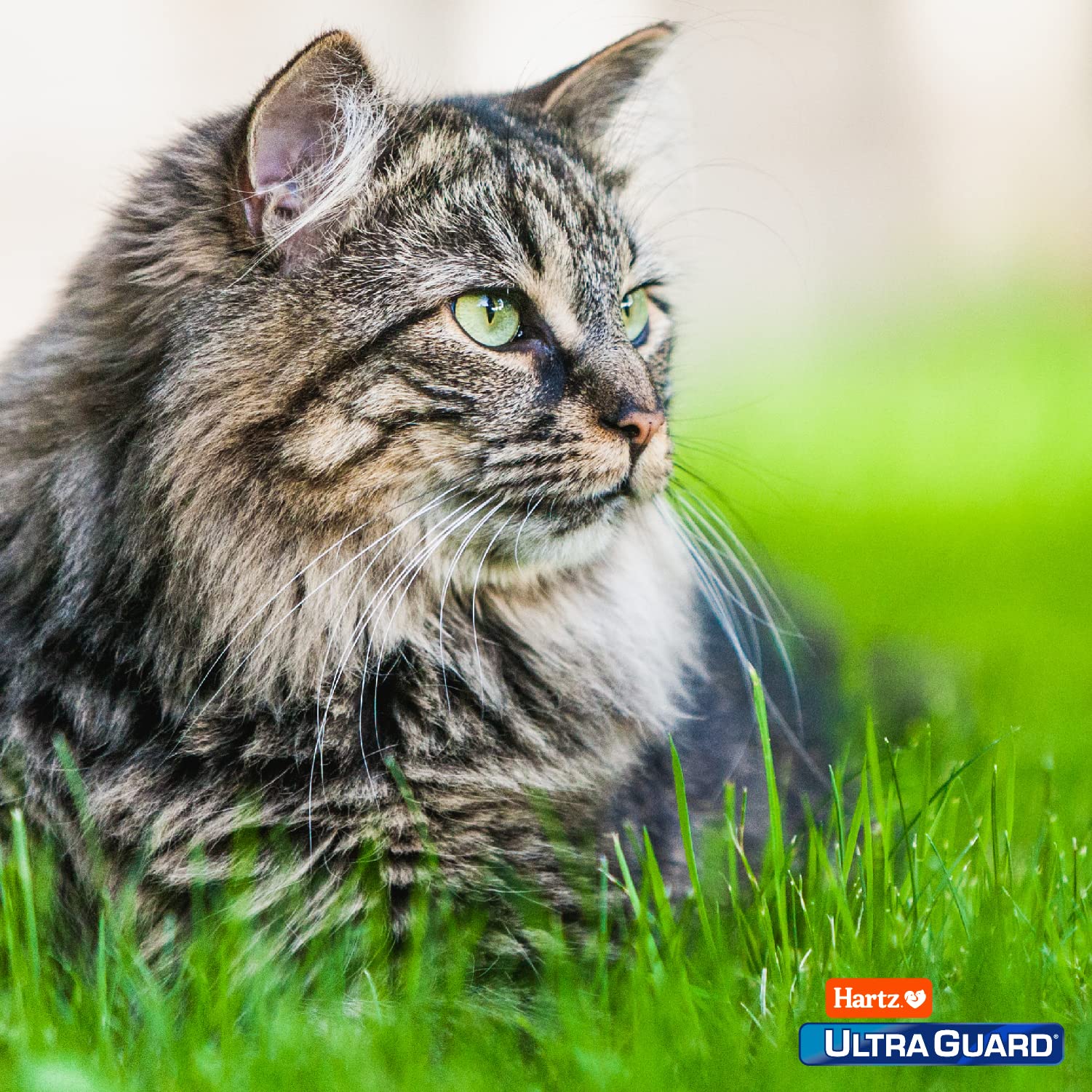 Aroma fresco de Hartz UltraGuard Plus para el ambiente del hogar.