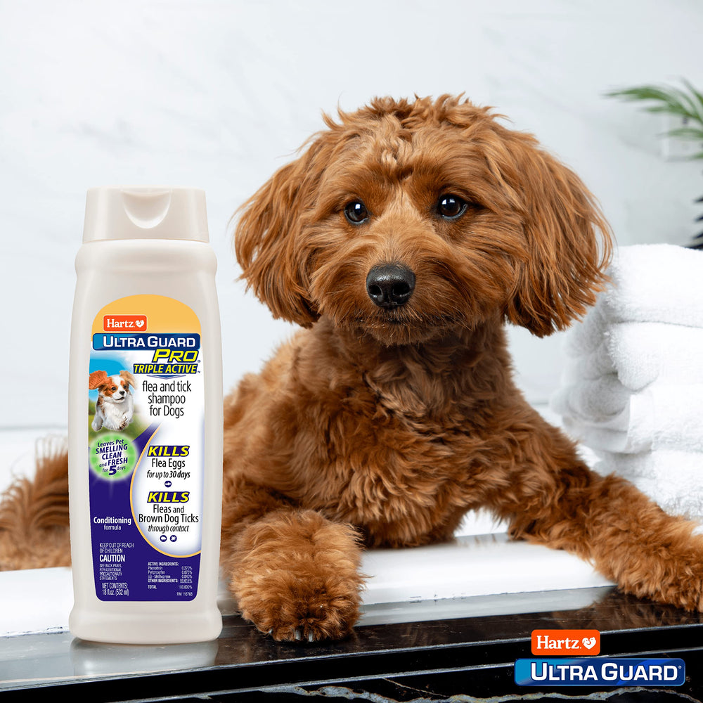 Hartz Ultraguard Pro Champú para perro: acondiciona y devuelve brillo al pelaje.