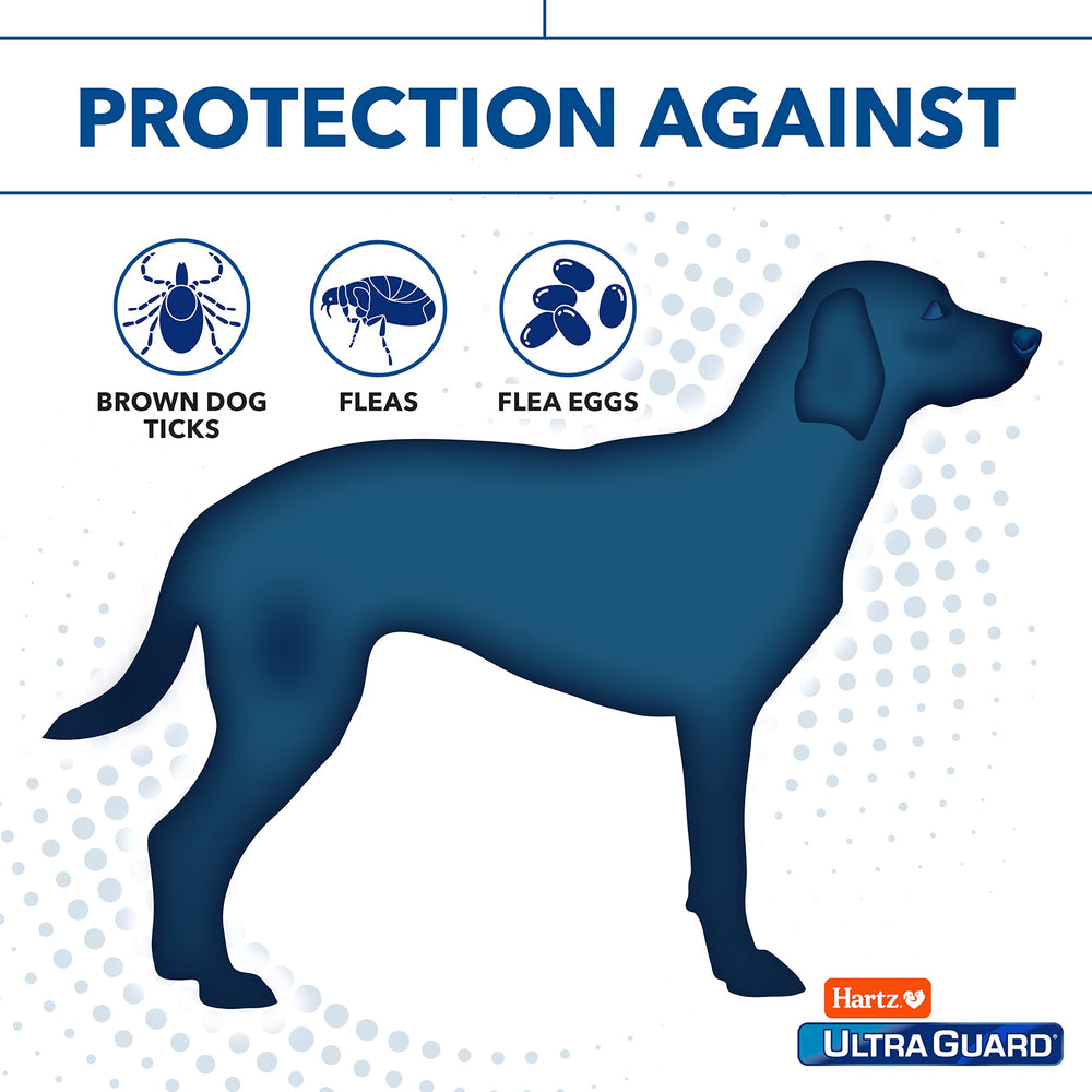 Hartz Ultraguard Pro Champú para perro: enjuague sencillo y pelaje limpio y brillante.