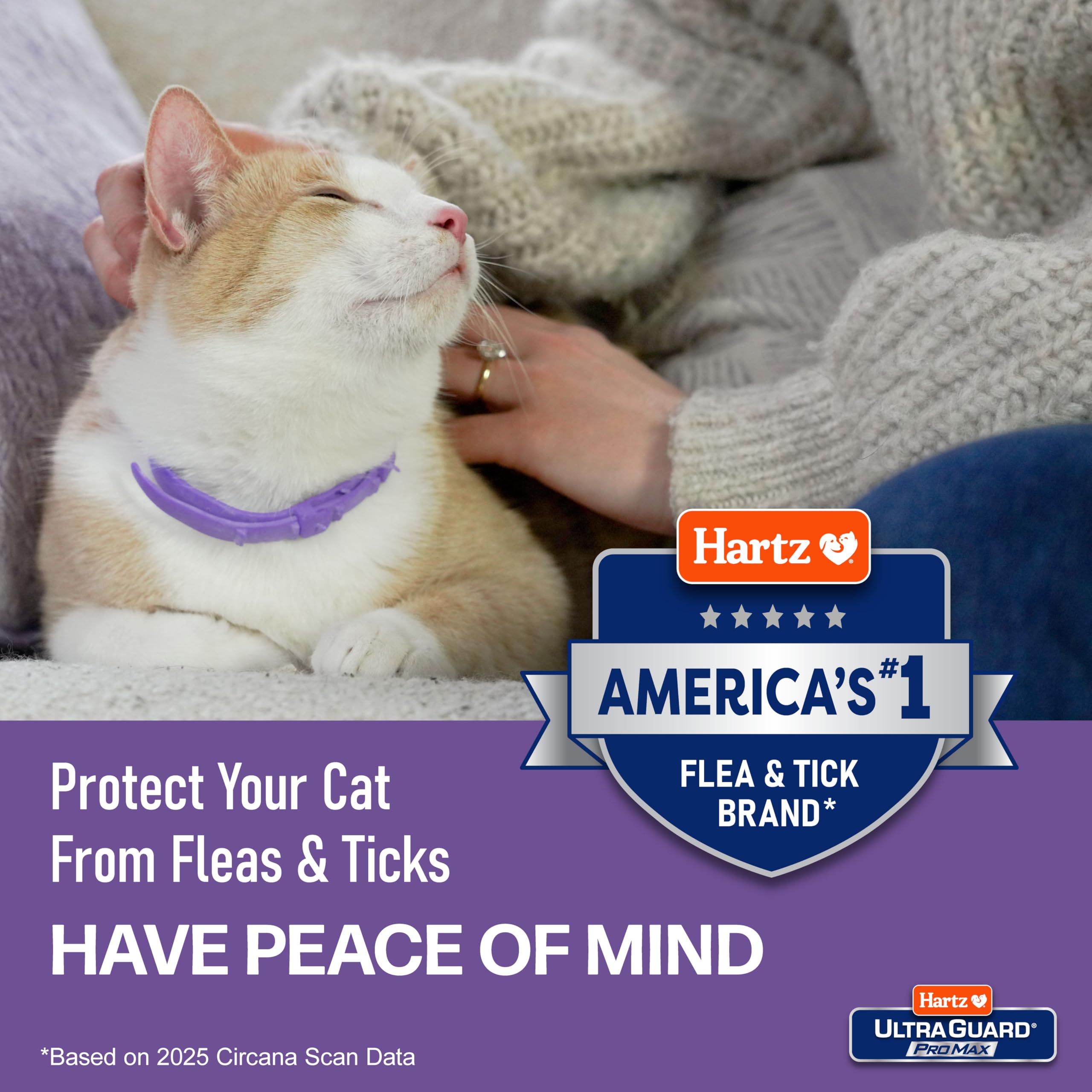 Hartz UltraGuard ProMax collar gatos, ideal para uso anual en hogares con varios felinos.