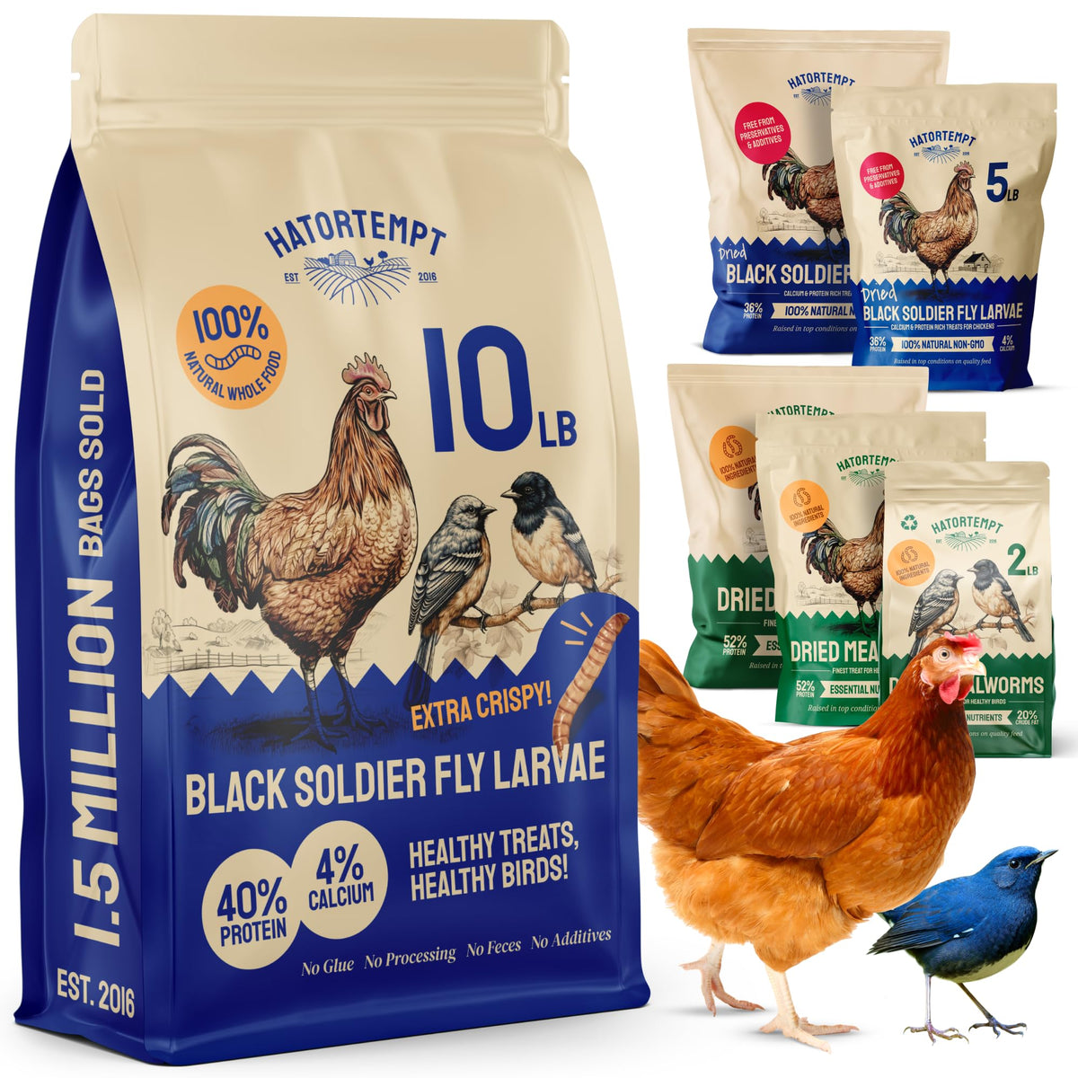 Hatortempt larvas mosca negra secas en bolsa, snack proteico para aves.