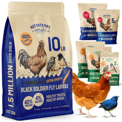 Hatortempt larvas mosca negra secas en bolsa, snack proteico para aves.