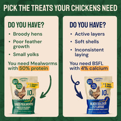 Hatortempt nutrición de invierno para aves con alto contenido proteico.