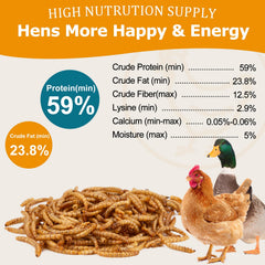 Alimento Hatortop para aves con proteína alta, ideal para pollos