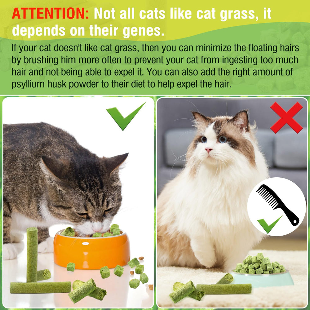 HavenJanny: aliento-fresco para gatos tras el snack.