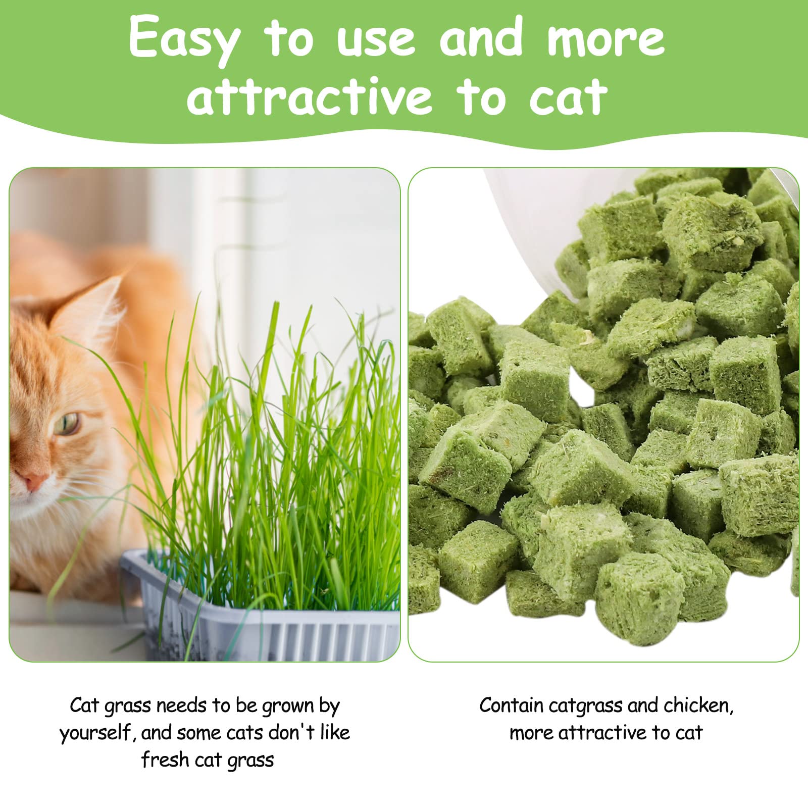 HavenJanny apoyo a higiene dental natural para gatos de interior.
