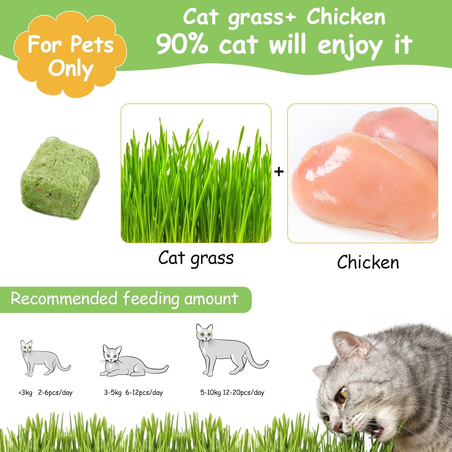 HavenJanny hierba-gatos-snack-02: hierba fresca que apoya la limpieza bucal y reduce bolas de pelo