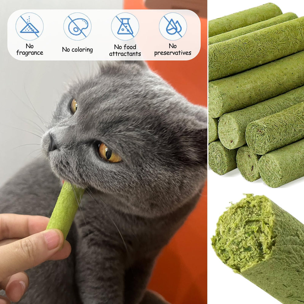 HavenJanny: instrucciones-uso claras para alimentar con confianza.