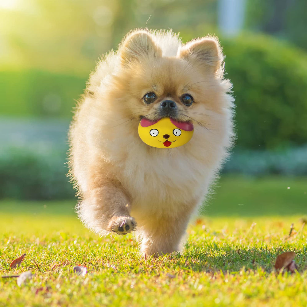 Juguete HDSX para perros pequeños, perfecto para sesiones dinámicas.