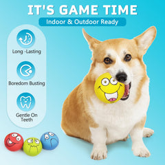 Juguete HDSX bola plana para perros pequeños y medianos con energía.