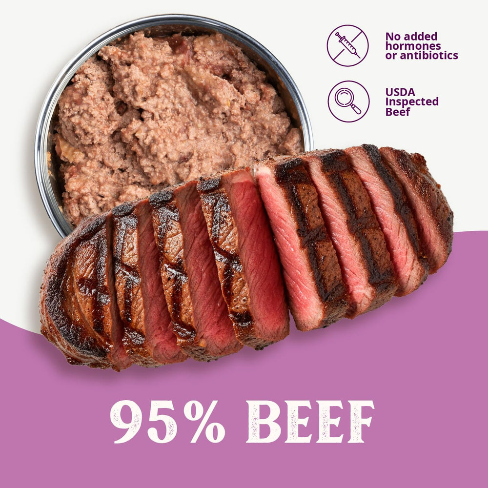 Health Extension 95% Beef como acompañante para croquetas, mejora sabor.