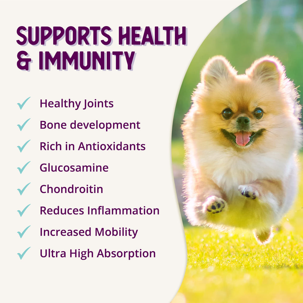 Health Extension Condroitina con Glucosamina: sabor queso que conquista a comedores exigentes.