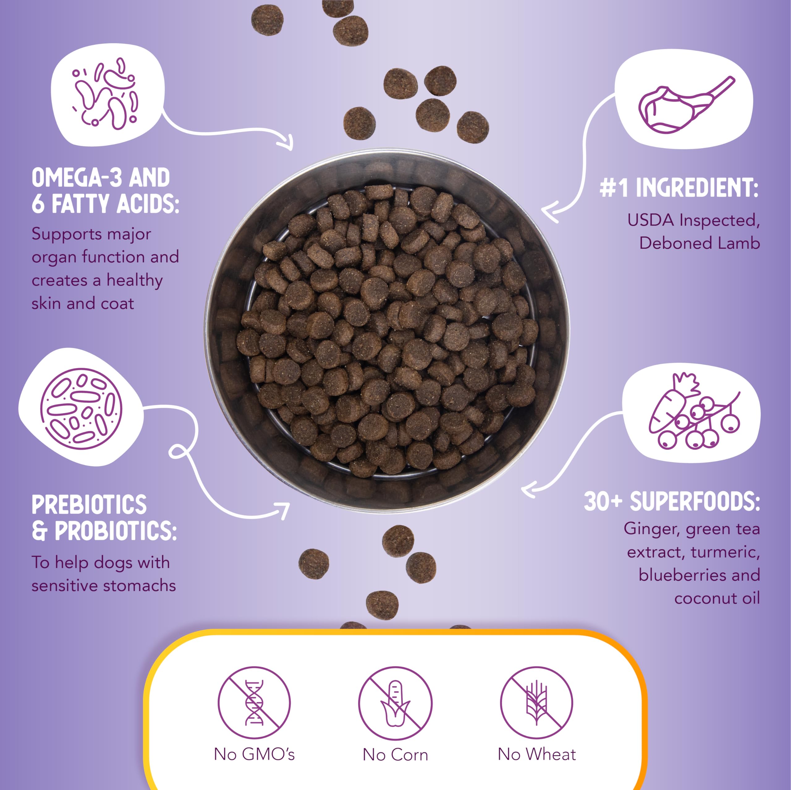 Health Extension digestivo-probioticos-prebioticos: equilibrio intestinal y defensa natural.