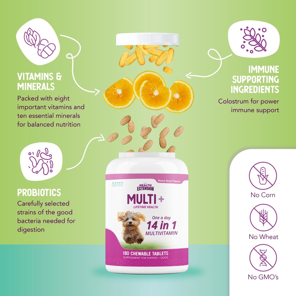 Health Extension dosis diaria simple, apta para perros de todas las edades
