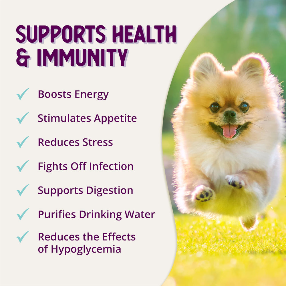 Health Extension alivio del estrés para perros, uso diario sencillo.